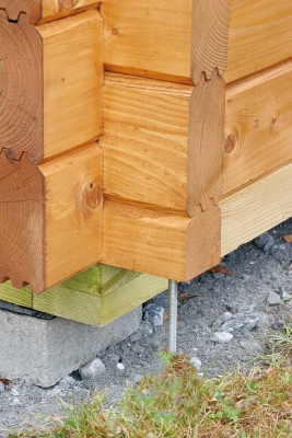 Wolff Gartenhaus Lotta 3636 XL in 44mm