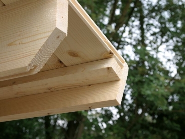 Preview: Wolff Finnhaus Birte 3030 Typ 4 mit Dreieckglas-Tür