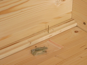 Wolff Finnhaus Birte 3030 Typ 4 mit Dreieckglas-Tür