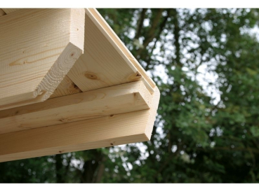 Preview: Wolff Finnhaus Stufendachhaus Birte 2722 Typ 4 mit Dreieckglas-Tür