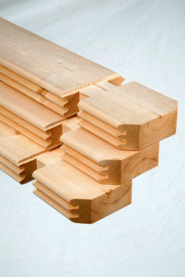 Wolff Finnhaus Gartenhaus Belina 3030 in 40mm