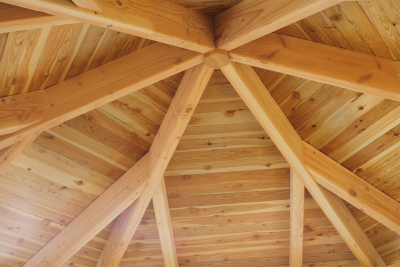 Skanholz Pavillon Colmar 1, Douglasie,natur