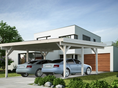 Palmako Doppel-Carport Karl 20,6 m² naturbelassen