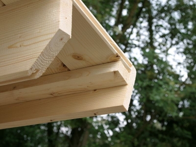 Wolff Finnhaus Birte 3030 Typ 4 mit Dreieckglas-Tür