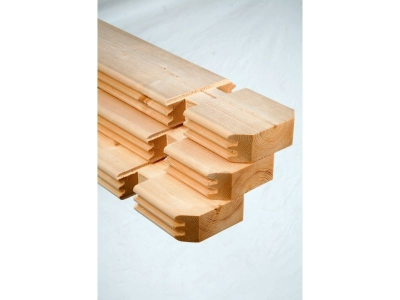 Wolff Finnhaus Stufendachhaus Birte 2722 Typ 5 mit Milchglas-Tür